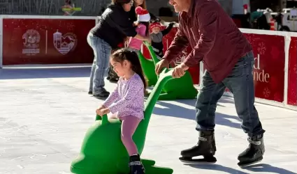 Pista de patinaje navidea