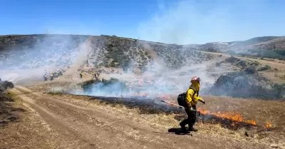 Concluye con éxito curso binacional forestal 2025